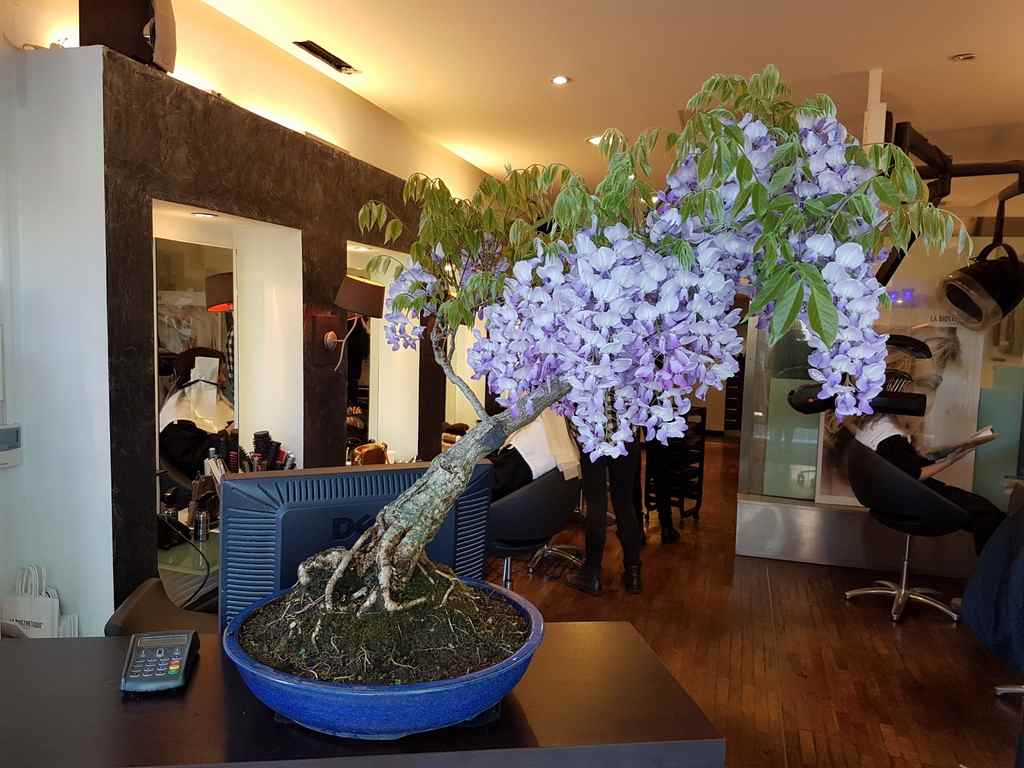 Coiffeur Bayonne# Attitudes