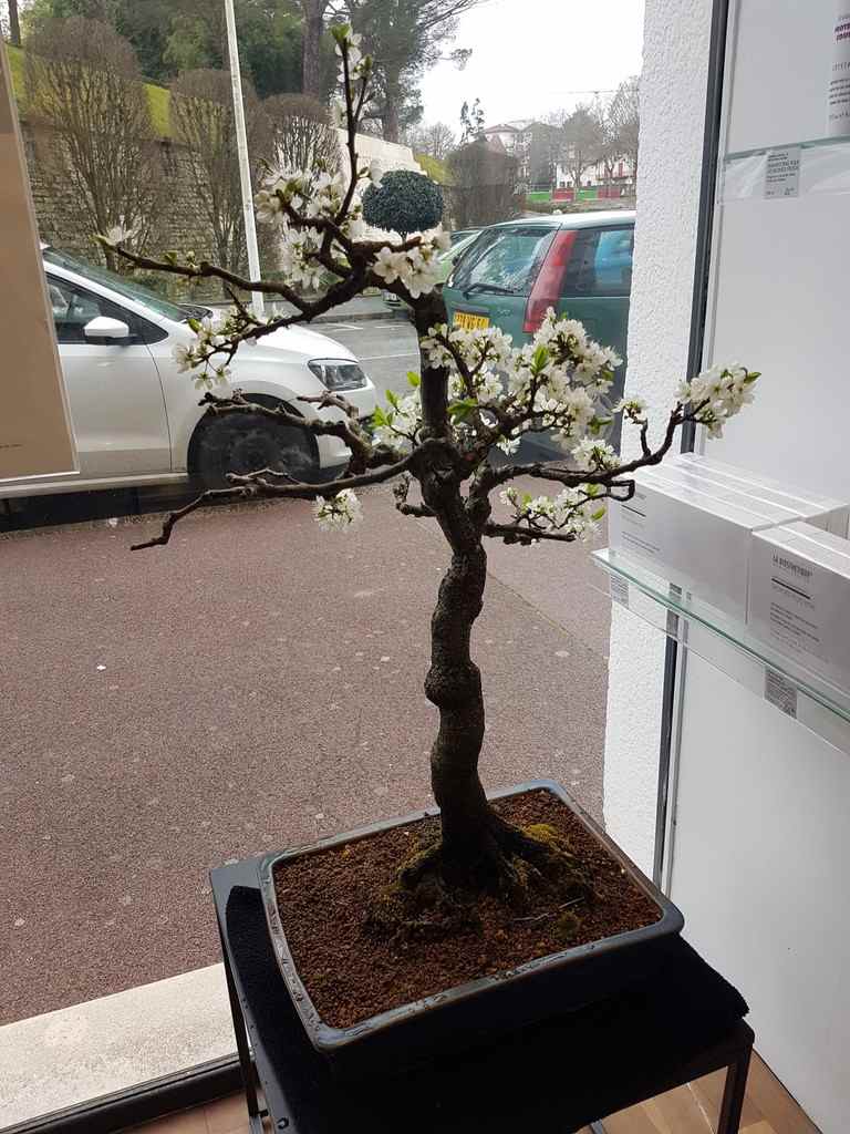Attitudes Coiffure Bayonne