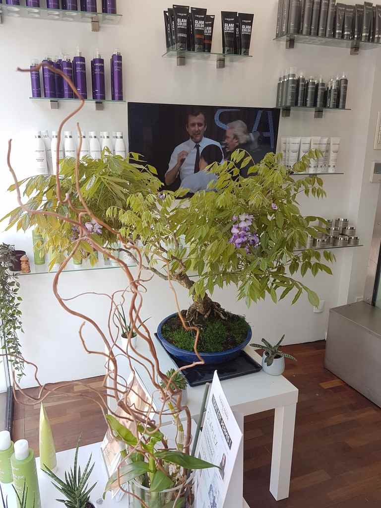Attitudes Coiffeur Bayonne