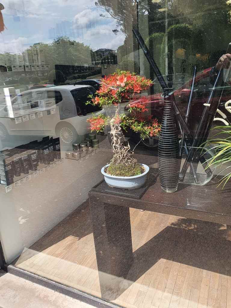 Attitude #Coiffeur #Bayonne