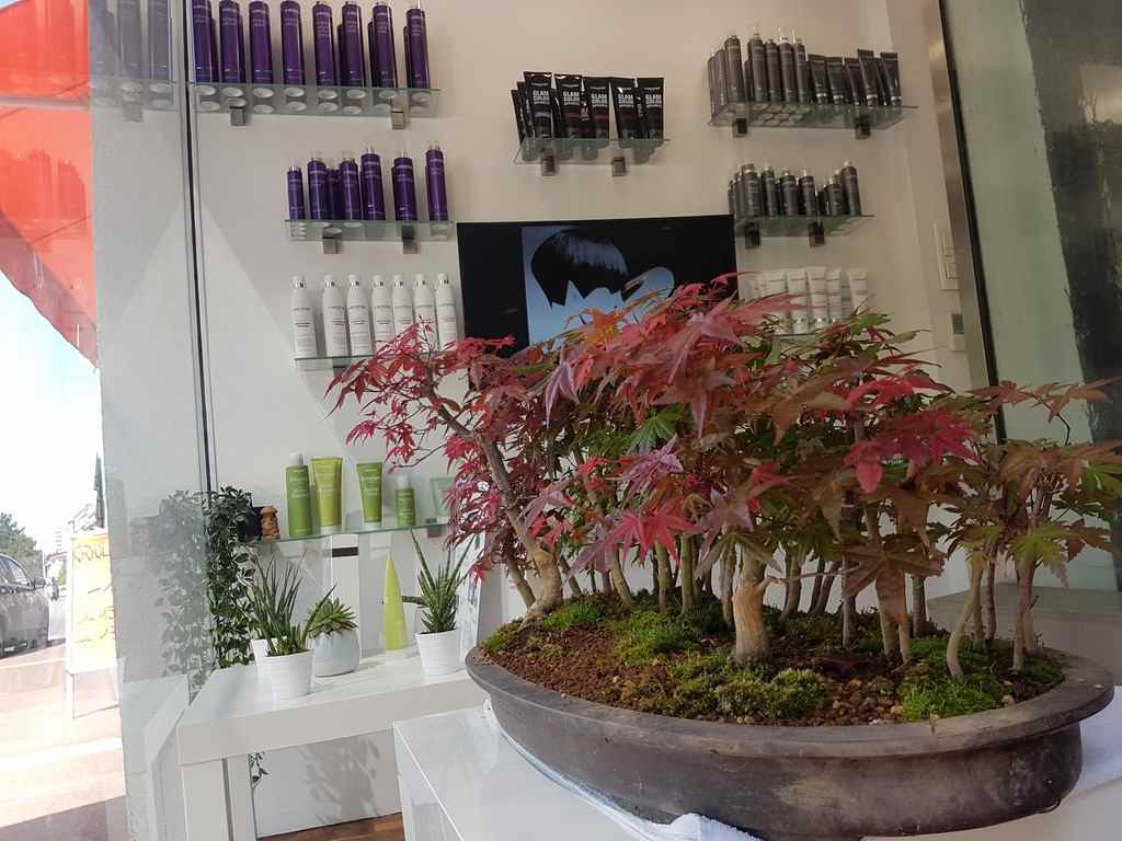 Foret attitudes Coiffure Bayonne