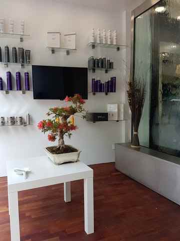 Attitudes coiffeur bayonne
