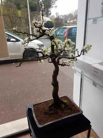 Attitudes Coiffure Bayonne