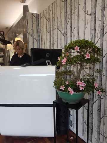 Attitudes coiffeur Bayonne